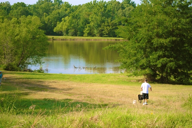 Shelby Farms Outback
