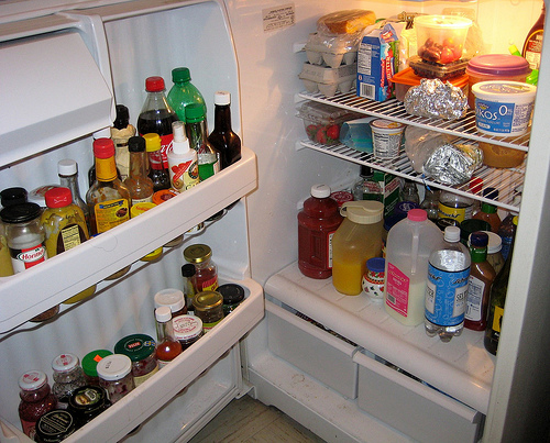 tips-for-cleaning-the-refrigerator-audubon-downs an open refrigerator